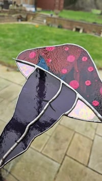 Image 3 of Mushroom bum 9