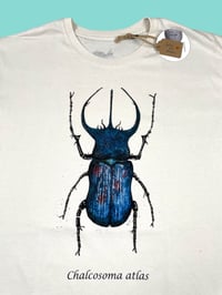 Image 3 of T-shirt ATLAS 