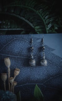 Image 1 of Real poppy seed pod earrings