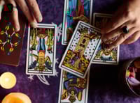 Tarot Readings (LIVESTREAM)