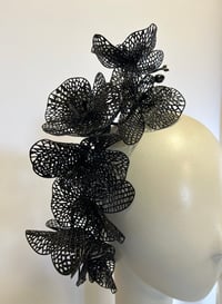 Black skeleton orchids 
