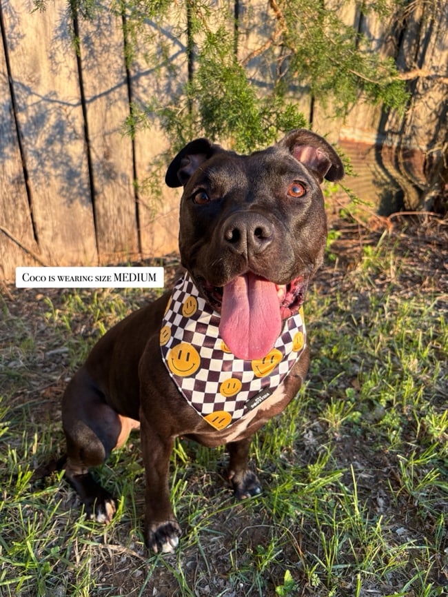 SMILEY BANDANA