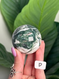 Image 4 of CHOOSE YOUR OWN MOSS AGATE SPHERE -INDIA- LOT 2