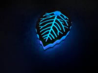 Image 2 of DMG’s Luminous Woods