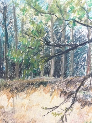 Image of VINTAGE DUTCH DRAWING: LANDSCAPE #11