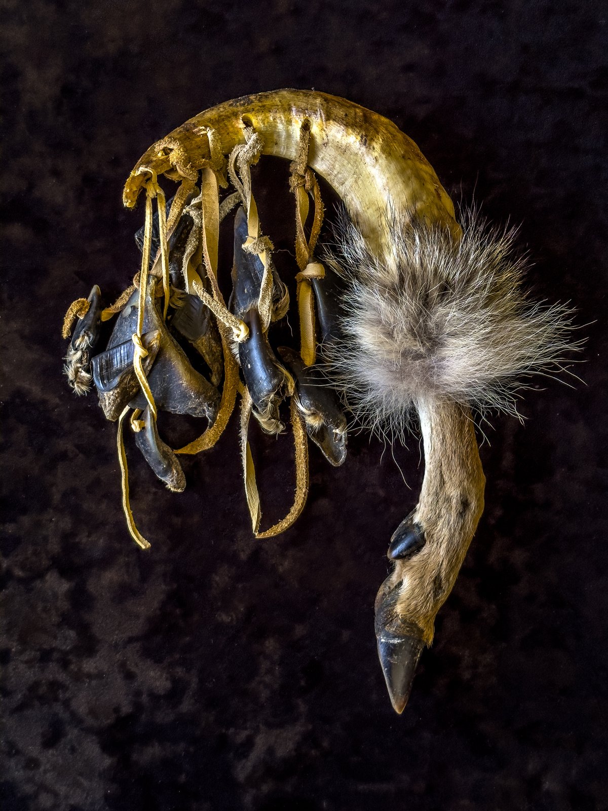 Shaman Deer Foot - Ritual Rattler | Madame Macabre’s House of Curiosities