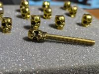 Skull contact screws 