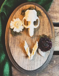 Image 2 of White & Purple Strawflower Muskrat Hanger