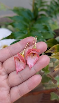 Image 2 of Calla Lily 