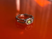 Image 1 of Sensibilité 3 - Collection Velours