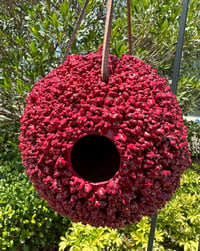 Burgundy Worty Gourd Birdhouse 