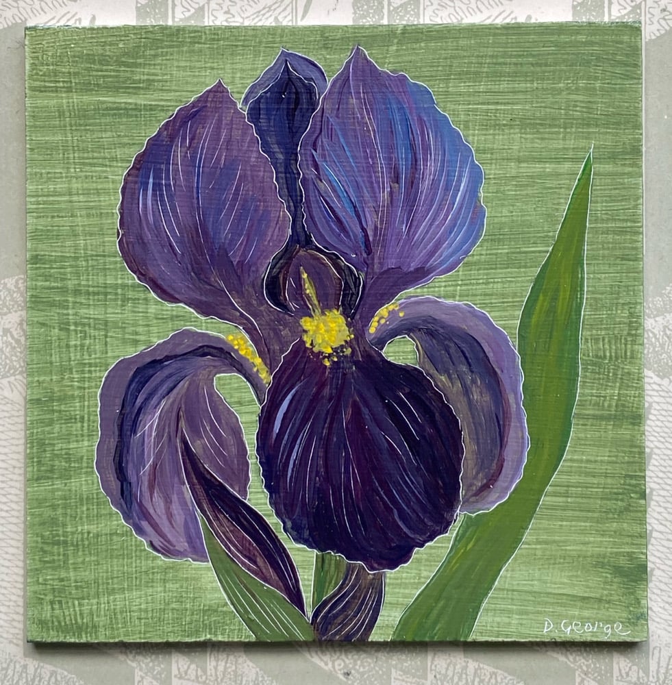 Image of Iris (C)