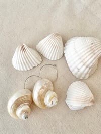 Shell Hoop Earrings