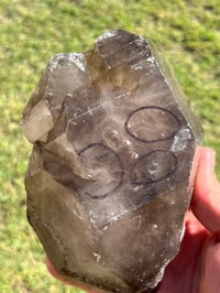Image 11 of Smoky Quartz Enhydro Multi Terminated Crystal | Zambia #2966 