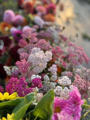 Image of Pick your own themed events 2026 