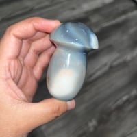 Image 4 of Orca Agate Mushroom B