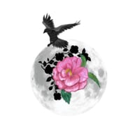 The Moon Salve