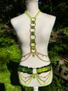 Snake Charmer Harness Set