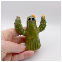 Image 4 of Cactus 8 cm
