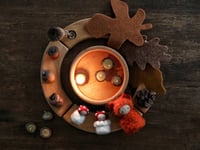 Image 1 of Animali Autumn SET {RTS} 