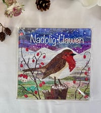 Nadolig Llawen Robin Goch Card