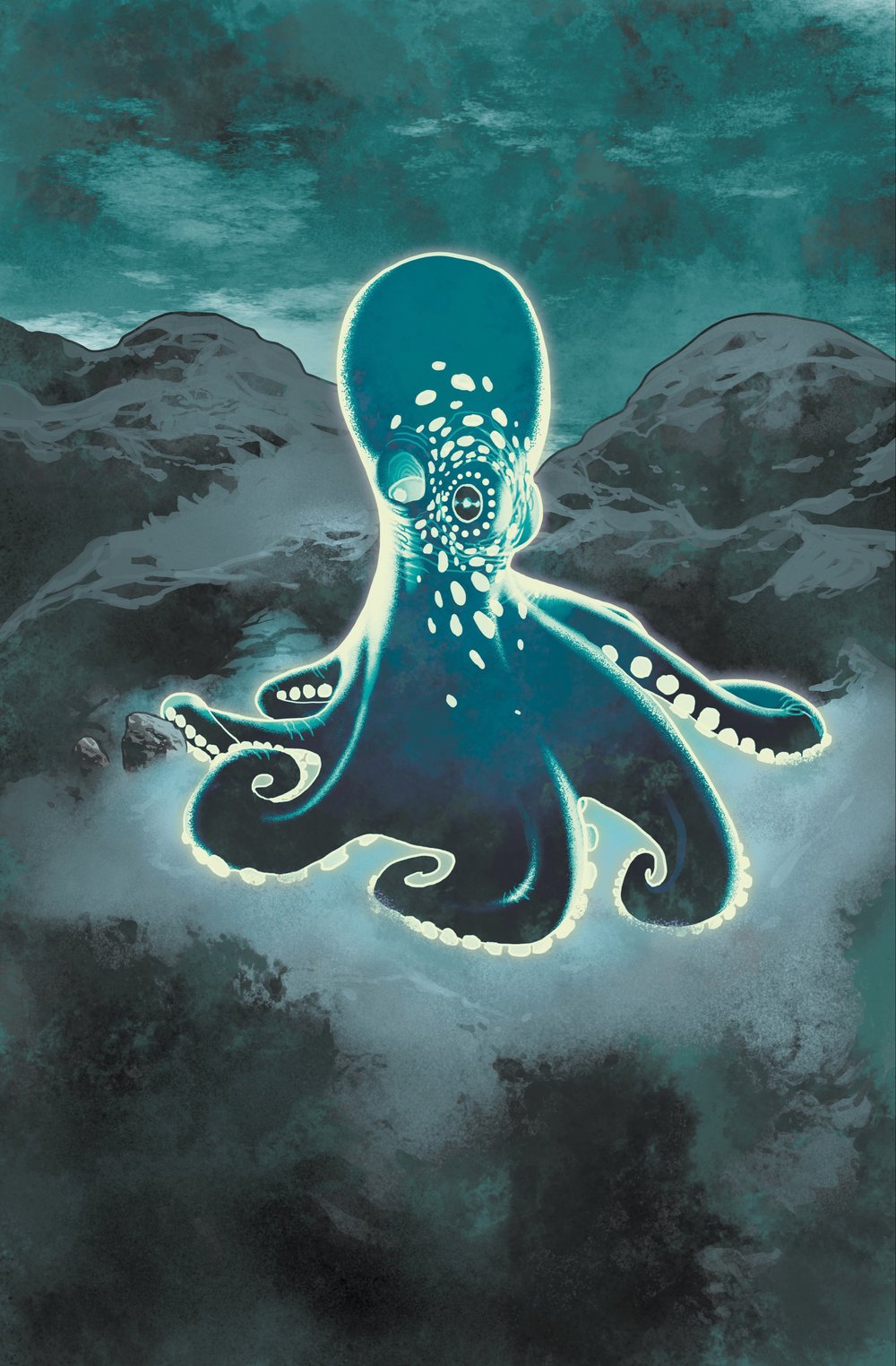Image of Octopus 01