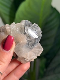 Image 4 of BOWTIE STILBITE X DIAMOND APOPHYLITE -INDIA- E