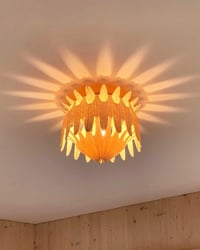 Image 1 of Floralis Orange — stolní a nástěnná lampa