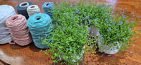 Image 4 of New Private Group | Macrame Plant Hanger Workshop