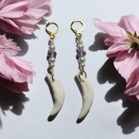 Gold Coyote K9 Teeth Earrings 