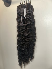 Image 6 of Raw Burmese Curly 