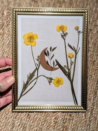 Cadre lune boutons d'or 