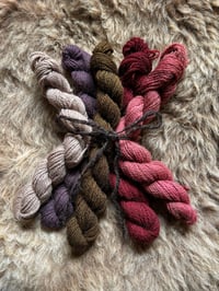 Image 1 of Mini Bundle #3 - 100G Hand Dyed Kent Romney Mini Skeins