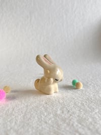 Image 3 of Bunny Washing #2