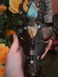 Image 20 of Spellbound adorned coyote skull 