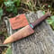 Image of 110mm Paring Knife AEB-L Myall
