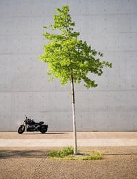 Image 4 of MINOLTA BF10