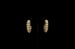 Image of Gold Designed Pierced Earrings 