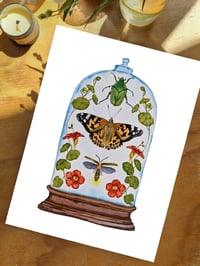 Image 4 of Insect Art Print June Dome, Under Glass Collection