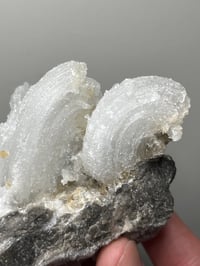 Image 3 of Ram’s Horn Selenite, Gypsum Specimen | Guizhou China #3048