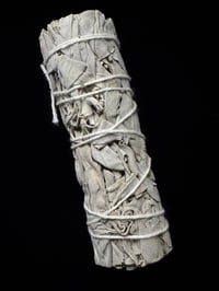 White Sage Smudge Stick