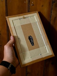 Image 4 of 1800s Gustave Dore Spiders - with real preserved webs