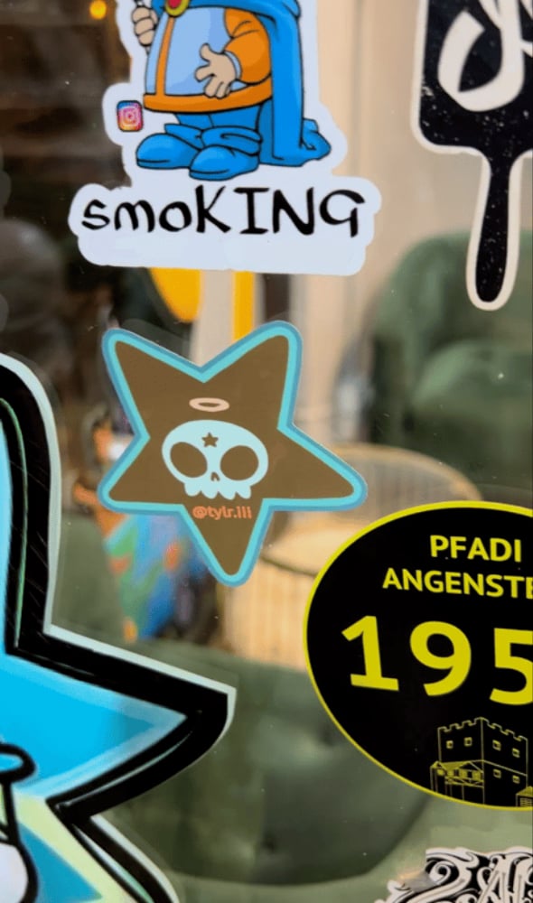 Image of “SKULLY STARS” Sticker (Mud&Teal)