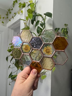 Honeycomb with Calendula