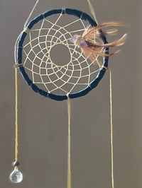 Image 2 of Prism Dreamer- Black II