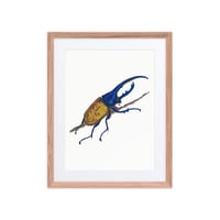 Image 1 of Framed poster of Hercules Beetle