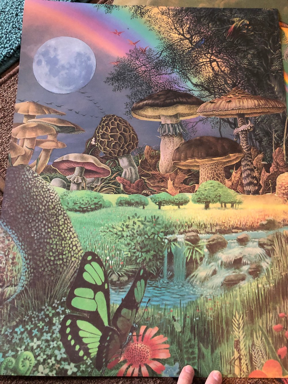 Mushroom paradise poster 