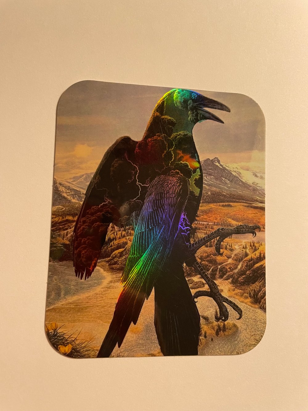 Duality in nature Holographic sticker 