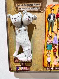 Image 12 of Oddities & Obscura- Jil Johnson