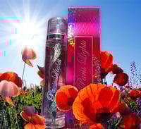Image 1 of Paris Lights Body Spray
